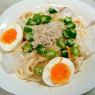 オクラのせ　ぶっかけうどん